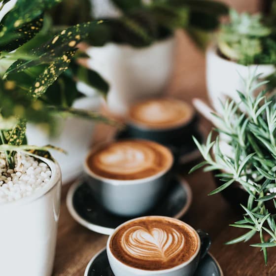 Cappuccino Trio
